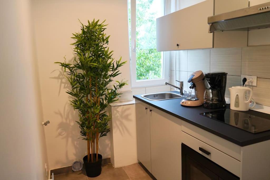 Rm-1 - Appartement F2 Au 1Er Etage Pour 1-3 Pers Mulhouse Exteriör bild
